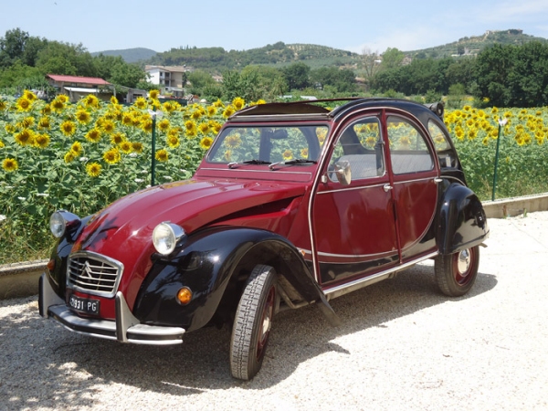 k2cv.jpg